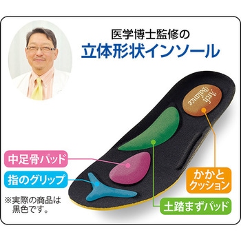 勝野式 軽やかウォーカー メイダイ