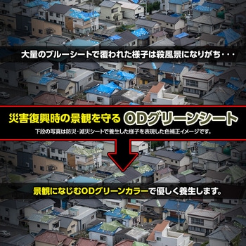 ターピー防災減災シート#3000 萩原工業