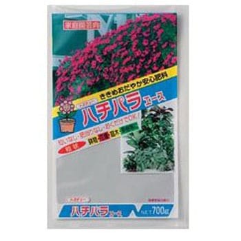 ハチパラエース トヨチュー