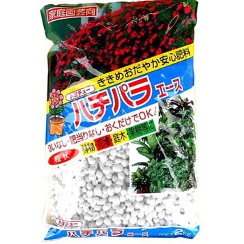 ハチパラエース トヨチュー