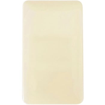 HS-U10PP/W �������X�C�b�`�v���[�g �I�[���d�@ 86983671