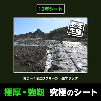 ターピー10年シート 萩原工業