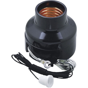 プルレセプタクル - ELPA