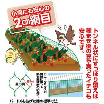 防鳥ネット バードX 日本マタイ