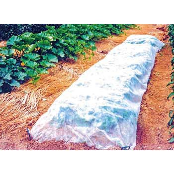 家庭菜園用 不織布(ロール品) 日本マタイ