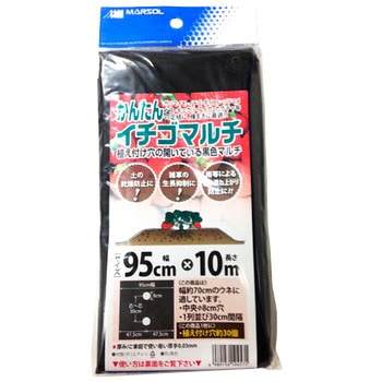 かんたんイチゴマルチ 日本マタイ