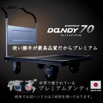 プレミアムダンディリニア 電動式リフト(PLM) 花岡車輌