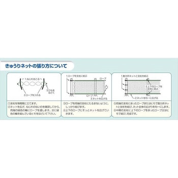えんどうネット イノベックス(ダイオ化成)