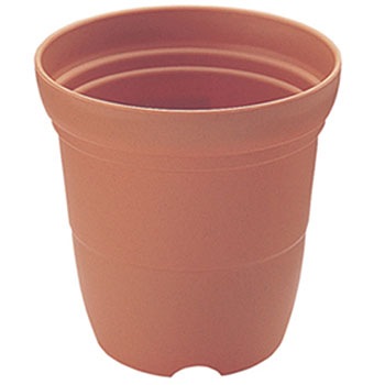 5�� �J���[�o���G���� Richell(���b�`�F��) 88374447