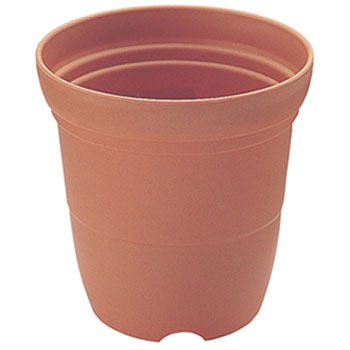 6�� �J���[�o���G���� Richell(���b�`�F��) 88374456