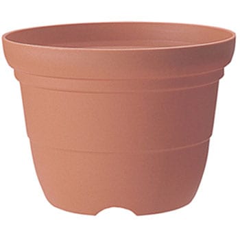 5�� �J���[�o���G�֔� Richell(���b�`�F��) 88374492