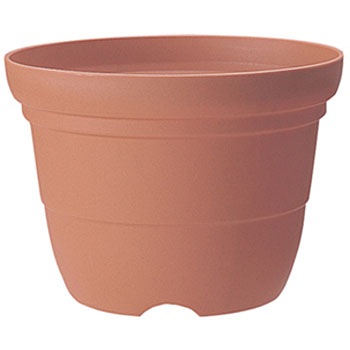 6�� �J���[�o���G�֔� Richell(���b�`�F��) 88374501