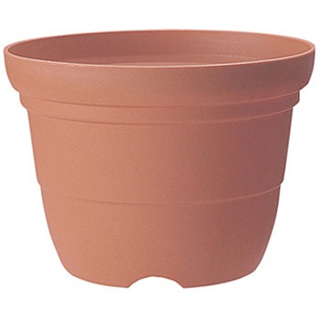 7�� �J���[�o���G�֔� Richell(���b�`�F��) 88374517