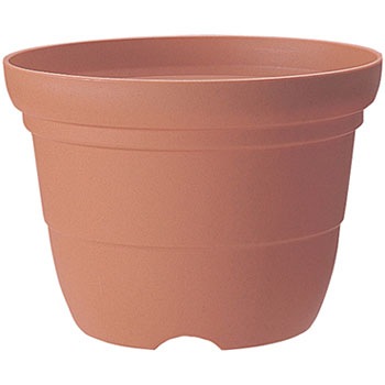 8�� �J���[�o���G�֔� Richell(���b�`�F��) 88374526