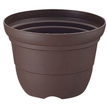 4�� �J���[�o���G�֔� Richell(���b�`�F��) 88375576