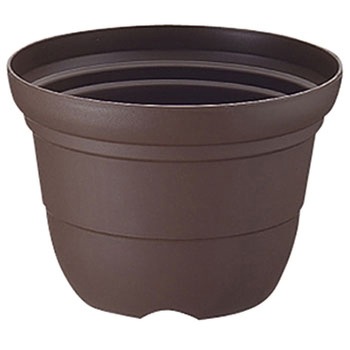 6�� �J���[�o���G�֔� Richell(���b�`�F��) 88375612