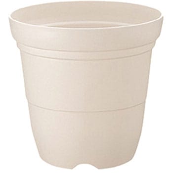 5�� �J���[�o���G���� Richell(���b�`�F��) 88375813