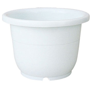 6�� �֔� Richell(���b�`�F��) 88378376