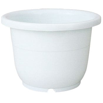 8�� �֔� Richell(���b�`�F��) 88378412