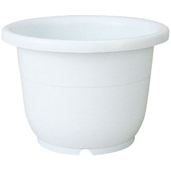 12�� �֔� Richell(���b�`�F��) 88378473