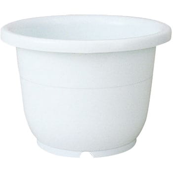 15�� �֔� Richell(���b�`�F��) 88378491