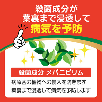 ベニカXファインスプレー 住友化学園芸
