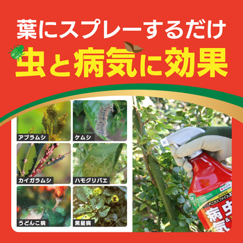 ベニカXファインスプレー 住友化学園芸