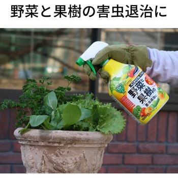 ベニカベジフルスプレー 住友化学園芸