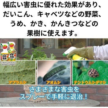 ベニカベジフルスプレー 住友化学園芸