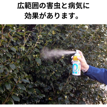 GFオルトランC KINCHO園芸