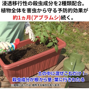 オルトランdx粒剤 1袋 1kg 住友化学園芸 通販サイトmonotaro