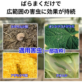 GFオルトラン粒剤 住友化学園芸