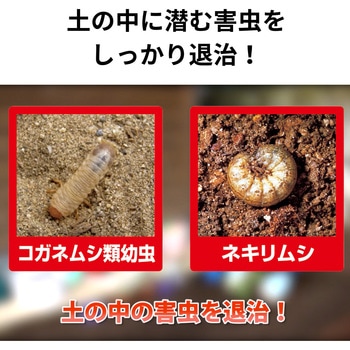 サンケイ ダイアジノン粒剤3 住友化学園芸
