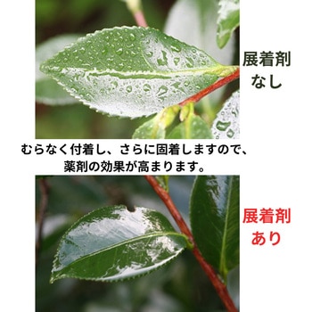 ダイン 住友化学園芸
