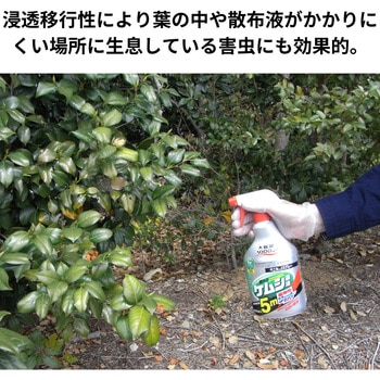 ベニカJスプレー 住友化学園芸