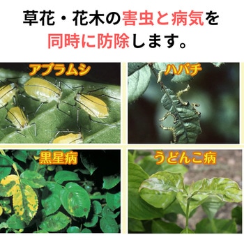 ベニカXスプレー 住友化学園芸