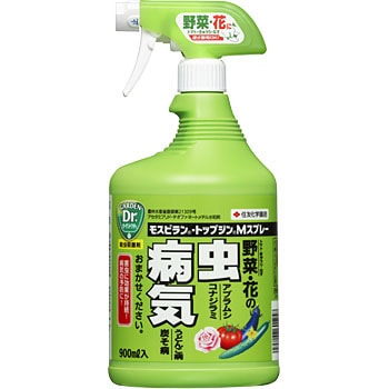 - ���X�s�����E�g�b�v�W��M�X�v���[ KINCHO���|(��:�Z�F���w���|) �G�A�]�� 88379995