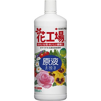 - �ԍH�ꌴ�t KINCHO���|(��:�Z�F���w���|) 88380126