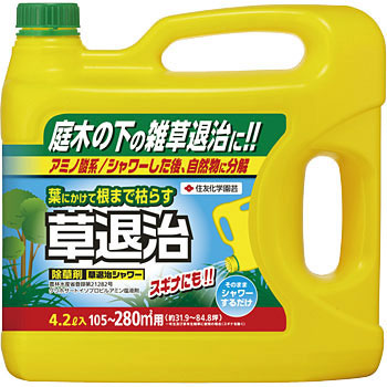 - ���ގ��V�����[ KINCHO���|(��:�Z�F���w���|) 88380205