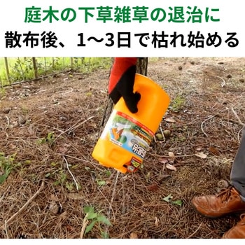 草退治シャワーワイド 住友化学園芸