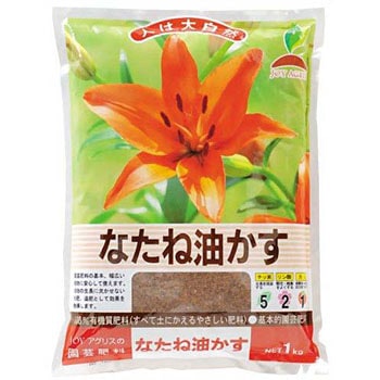 - Ȃ˖ JOYAOX 88381325