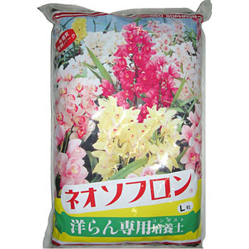 L�� �l�I�\�t���� ���a�J�� 88384816