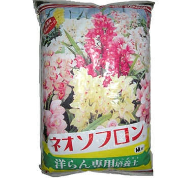 M�� �l�I�\�t���� ���a�J�� 88384834