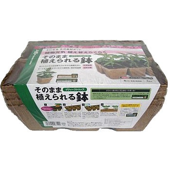 �p�^8cm�~6�A�� �W�t�B�[�X�g���b�v �T�J�^�̃^�l 88385157