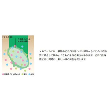 メネデール メネデール