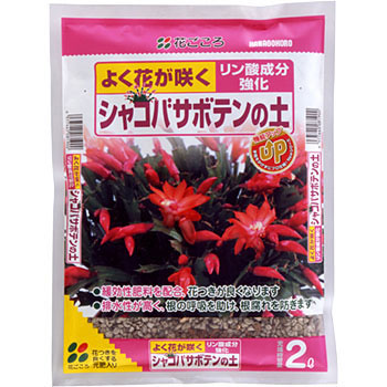 - �V���R�o�T�{�e���̓y �Ԃ����� 88388431