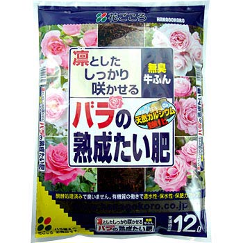 - �o���̏n�������� �Ԃ����� 88388526