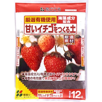 甘いイチゴをつくる土 花ごころ