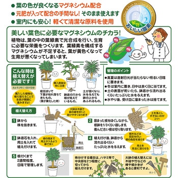 観葉植物の土 花ごころ 観葉植物用土 通販モノタロウ