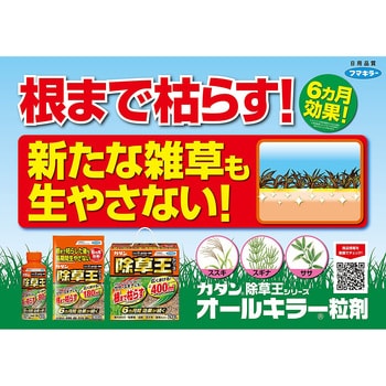 オールキラー粒剤 フマキラー